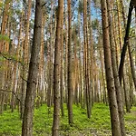 Hébergement de vacances Kamenice