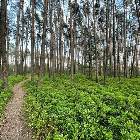 Kamenice * Dobšín